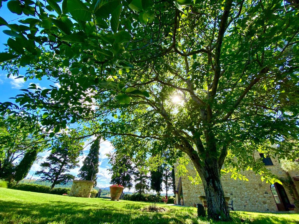 Agriturismo L'Antica Quercia Pomarance Exteriör bild